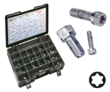 SURTIDO DE TORNILLOS TORX CROMADO