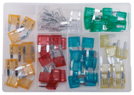 SURTIDO MINI FUSIBLE TIPO HOJA 60 PIEZAS