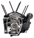 CARTER S&S PARA MILWAUKEE EIGHT