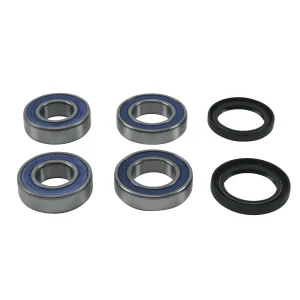Kit de rodamientos de rueda - trasera AP