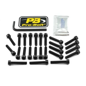Kit de tornillería de motor en aluminio para Kawasaki - KAW negro