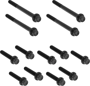 Juego de tornillos de titanio de 12 puntos para tapa primaria exterior