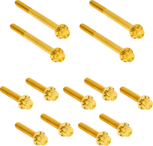 Juego de tornillos de titanio de 12 puntos para tapa primaria exterior - Kit de herrajes 12PT dorada