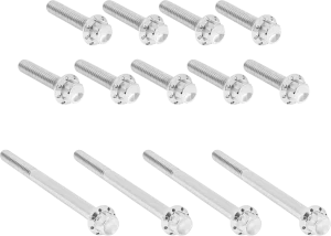 Juego de tornillos de titanio de 12 puntos para tapa primaria exterior - Kit de herrajes 12PT pulido