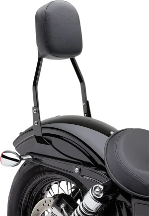 Sissy Bar cuadrada - 17"