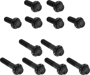 Juego de tornillos de titanio de 12 puntos para Rocker Box