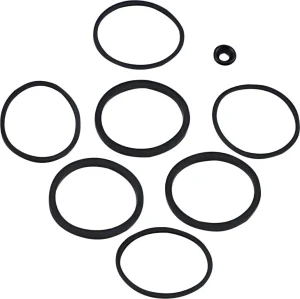 Kit retenes de pinza/pistón de freno - sellos para pinza 08-20 FLT