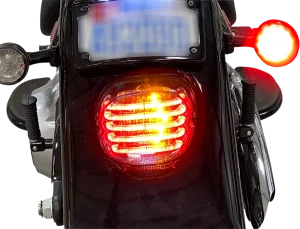 Luz trasera LED ProBEAM® integrada de perfil bajo con intermitentes auxiliares - W/TSBWDW lente rojo