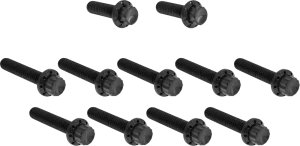 Juego de tornillos de titanio de 12 puntos para tapa de leva/punto