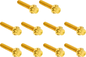 Juego de tornillos de titanio de 12 puntos para tapa de leva/punto