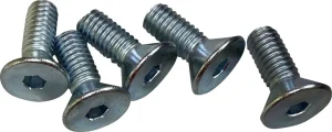 Kit ferramenta per disco freno - Viti F RTR 5/16-18CS