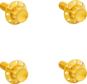 Tornillos para Parabrisas de 12 Puntos de Titanio - Kit de pernos 12PT guardabarros delantero Gold