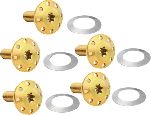 Kit de tornillos para disco de freno flotante delantero Holeshot