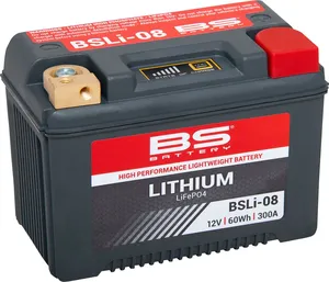 Batería de litio LiFePO4 rectangular negra con bornes metálicos