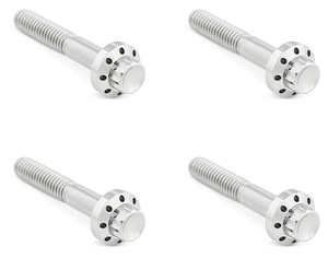 Tornillos de guardabarros delantero de 12 puntas en titanio Arlen Ness