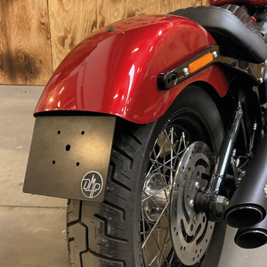 Soporte de matrícula DMP en acero inoxidable para Harley-Davidson