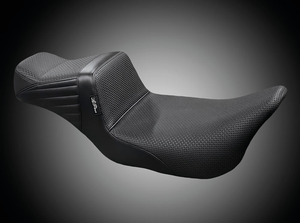 Tailwhip de cola estilo Le Pera instalado en motocicleta Harley-Davidson Touring