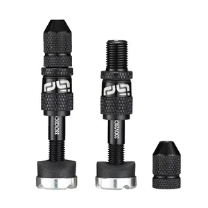 Set de válvulas Schrader de llenado rápido para neumáticos tubeless