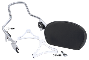 Sissy bars desmontables instalados en una motocicleta Harley-Davidson Touring
