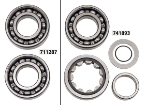 Juego de cadena de distribución para motores Twin Cam antiguos