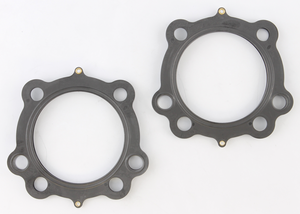 Conjunto de juntas tóricas y retenes de aceite para motor Big Twin Evolution