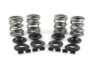 Kit de muelles de válvula AV&V para motor