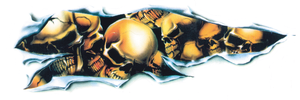 Diseños y pegatinas para depósitos "Bike Tattoos" de Lethal Threat - Shred Skull izquierdo 3"x8.5" — B-stock