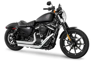 Par de turn-outs Declaration color negro mate para motocicleta Harley-Davidson