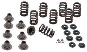 Kit de muelles de válvula reforzados S&S para motor Milwaukee Eight