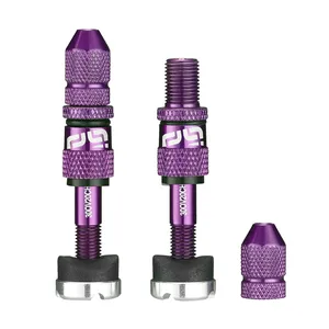 Set de válvulas Schrader de llenado rápido para neumáticos tubeless