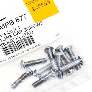 Surtido de tornillos Torx con cabeza botón de acabado cromado