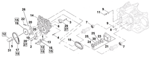 Conjunto de árboles de levas para motor Milwaukee Eight