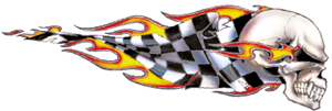 DISEÑOS Y PEGATINAS PARA DEPOSITOS "BIKE TATTOOS" DE LETHAL THREAT - Checkered Skull derecho 2.5"x7.5" — B-stock