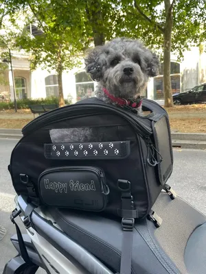 Bolsa para mascota de 30 litros para motocicleta