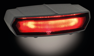 Luz trasera LED Cobalt negra instalada en motocicleta Harley-Davidson