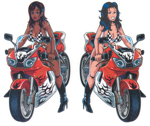DISEÑOS Y PEGATINAS PARA DEPOSITOS "BIKE TATTOOS" DE LETHAL THREAT - Sport Bike Girls 2"x3" — B-stock