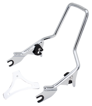 Sissy bars desmontables instalados en motocicleta Harley-Davidson Touring