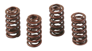 Juego de muelles de válvula Andrews para motores Harley Evolution y Twin Cam