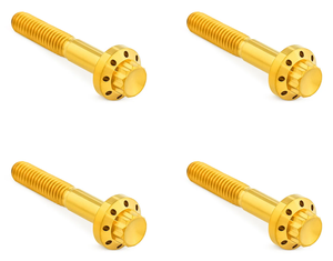 Tornillos de guardabarros delantero de titanio con cabeza de 12 puntas marca Arlen Ness