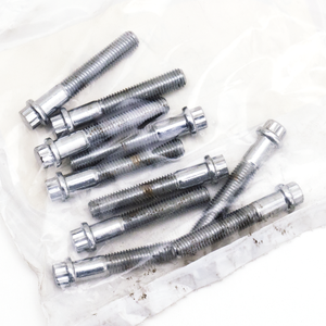 Surtido de tornillos de 12 puntos con acabado cromado brillante