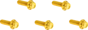 Kit de tornillos de titanio con cabeza hexagonal de 12 puntas para tapa de cárter primaria de motocicleta