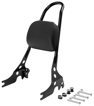 Sissy bar desmontable de una pieza instalado en motocicleta Harley-Davidson Sportster