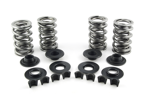 Kit de muelles de válvulas AV&V para motores Harley-Davidson