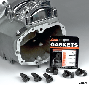 Kit de taponar orificios para motor Harley-Davidson con herramientas de instalación