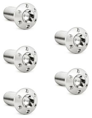Kit de tornillos de disco de freno color titanio marca Arlen Ness