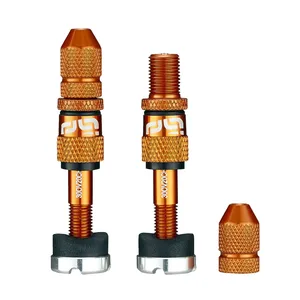 Set de válvulas Schrader de llenado rápido para neumáticos tubeless