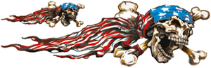 DISEÑOS Y PEGATINAS PARA DEPOSITOS "BIKE TATTOOS" DE LETHAL THREAT - USA Skull derecho 3"x10" — B-stock