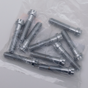 Surtido de tornillos de 12 puntos con acabado cromado brillante