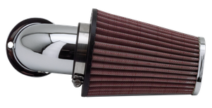 Filtro de aire inclinado genuino marca Zodiac
