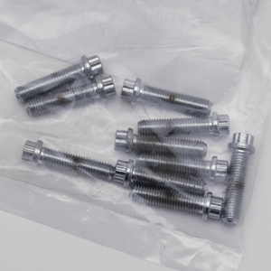 Surtido de tornillos de 12 puntos con acabado cromado brillante